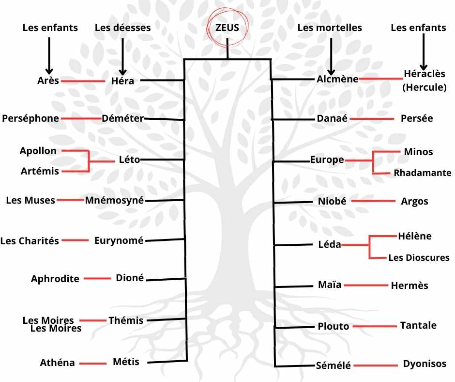 L'arbre généalogique complet de Zeus où l'on retrouve ses descendants issus des divinités, des nymphes et des mortelles.